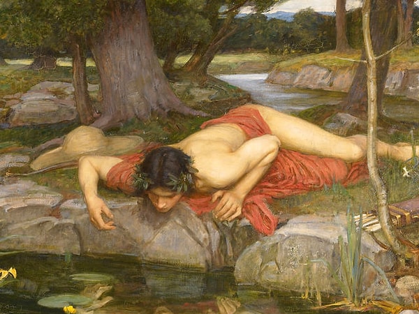 Вы нарцисс на 100%