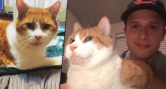 Genetik Farkı Yüzünden Minnak Patilerinde Başparmağı Olan Kedicik Marino ile Tanışın!