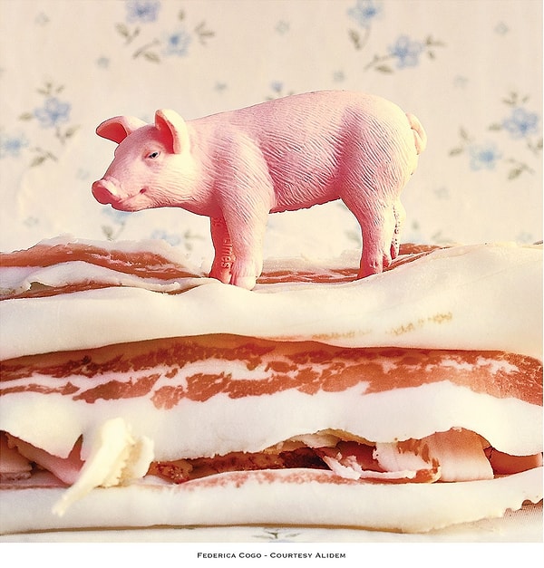 С самого начала девушка хотела обратить внимание на некоторых животных, которые, как правило, связаны с пищевой промышленностью.