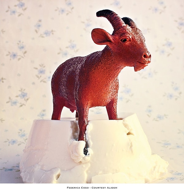 Трудности при подготовке и выполнении проекта возникли, когда Федерика не могла найти удовлетворительный свет, который не был слишком твердым или слишком мягким, а также с созданием элементов натюрмортов: молоко, пластилиновые яйца, сыр и бекон.