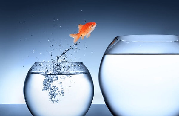 3. Если бы вы могли изменить один аспект своей жизни, то что бы вы улучшили?