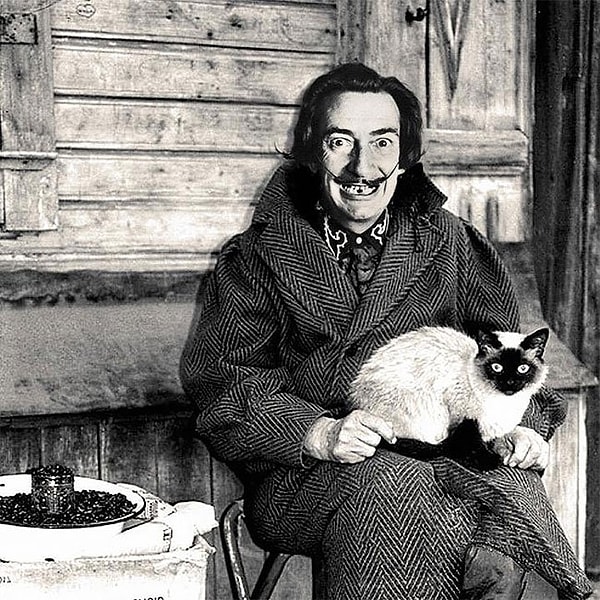 4. Почем семечки, бабуля?