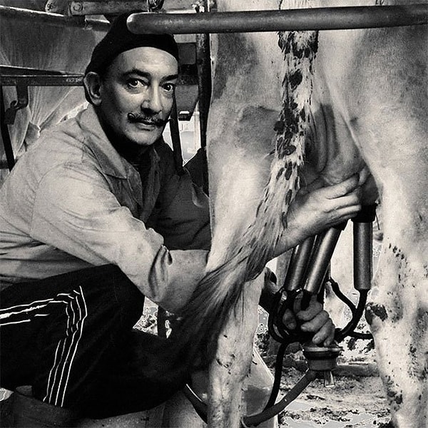 9. Доит корову, но мечтает о носорогах.