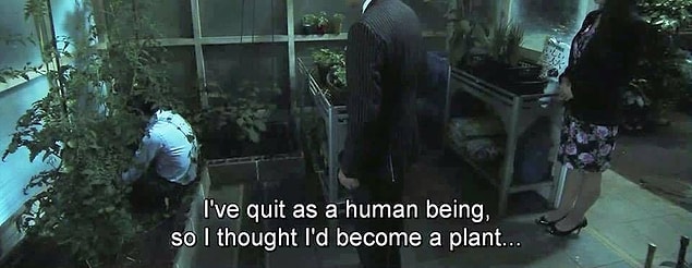 16.