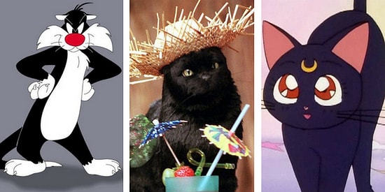 Onları Uğursuz Sananlara İnat Çok Sevilen Ekranların En Popüler 20 Kara Kedisi