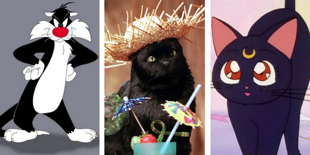 Onları Uğursuz Sananlara İnat Çok Sevilen Ekranların En Popüler 20 Kara Kedisi