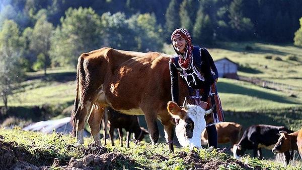 Henüz 12 yaşında olan ve dağ bayır, kar kış demeden hayvanlarla ilgilenen Hamdu Sena Bilgin fotoğrafının yayılmasının birçok kişi tarafından artık 'Rizeli Heidi' olarak çağırıldığını söyledi.