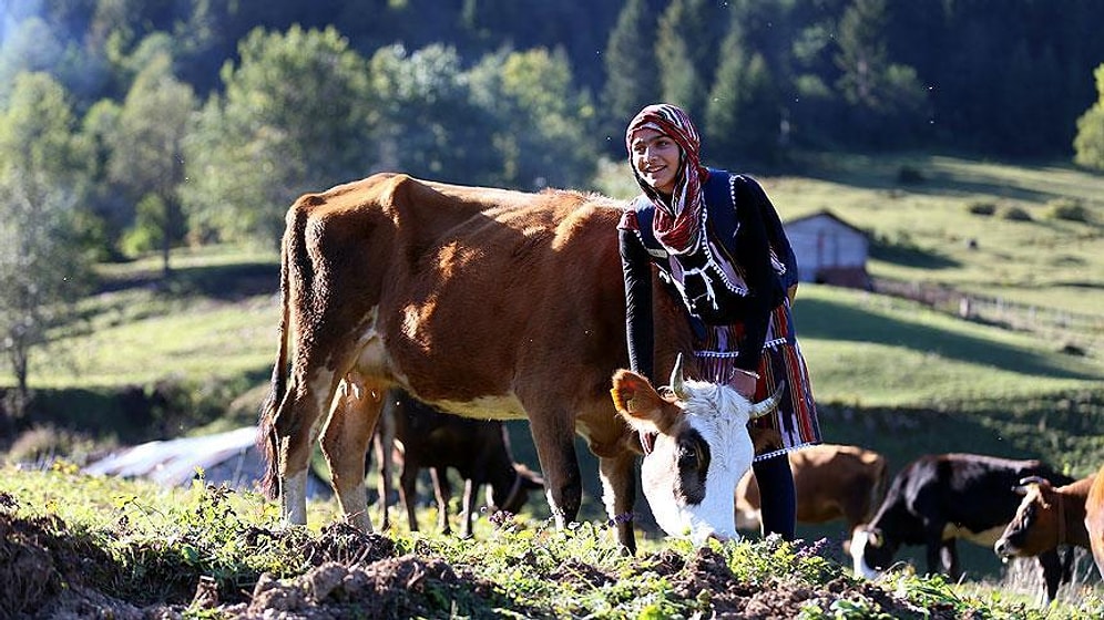 Hepimiz Onu Bir Fotoğraf Karesiyle Tanımıştık: 'Rizeli Heidi'nin Hayali Veteriner Hekim Olmak