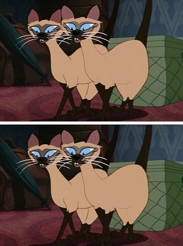 6. Нашли отличие между картинками?