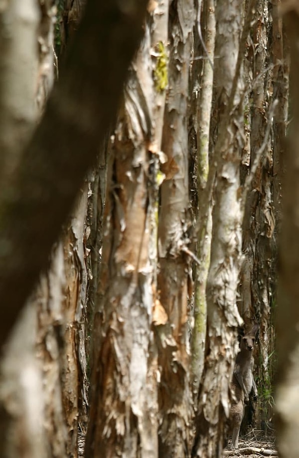 1. Итак, поехали, нашли кого-нибудь?