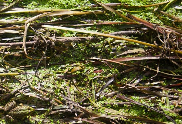 4. Нашли кого-нибудь?