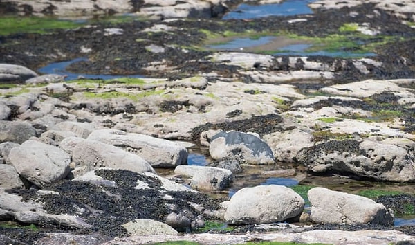 7. Видите на этой фотографии кого-нибудь?