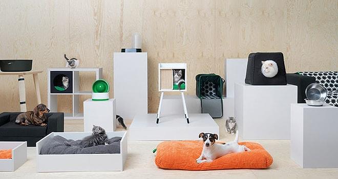 Patilere Konfor! IKEA'nın Minik Dostlarınızı Kendine Aşık Edecek Yeni Mobilya Koleksiyonu