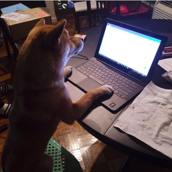 15. Посмотрите медитативное видео