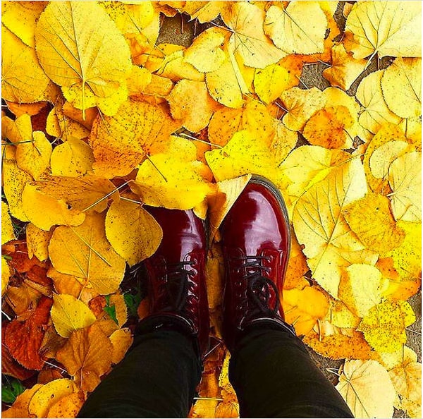 16. Выйдите из дома и сфокусируйтесь на красоте природы