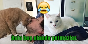 Sevimli Oldukları Kadar Yaramazlar! Minik Dostlarımızın Kafa Yedirten Cinsten 21 Huyu