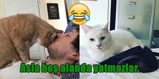 Sevimli Oldukları Kadar Yaramazlar! Minik Dostlarımızın Kafa Yedirten Cinsten 21 Huyu