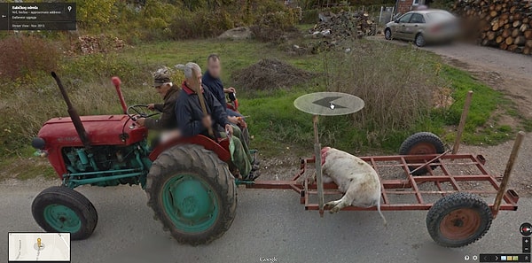 1. Бедная свинья едет на какое-то пиршество в Сербии