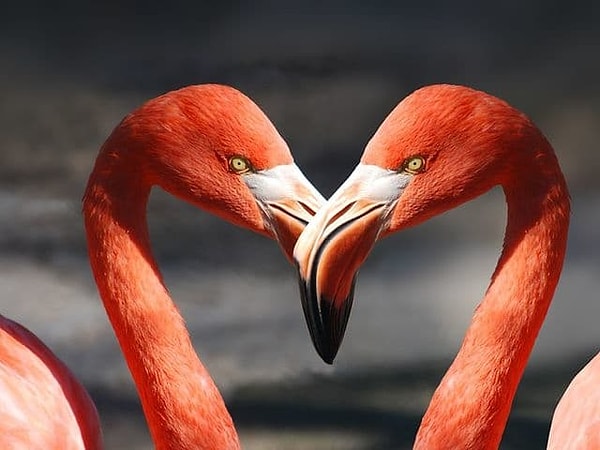 3. Когда вы с кем-то, о чем вы в первую очередь думаете?