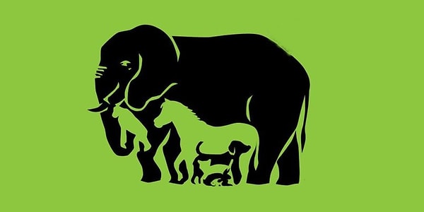 1. Сколько животных на картинке?