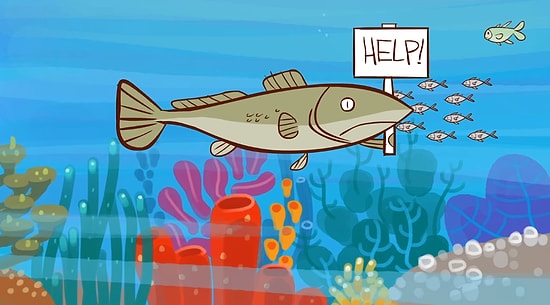 Denizlerimizdeki Balıklar Tükenebilir mi?