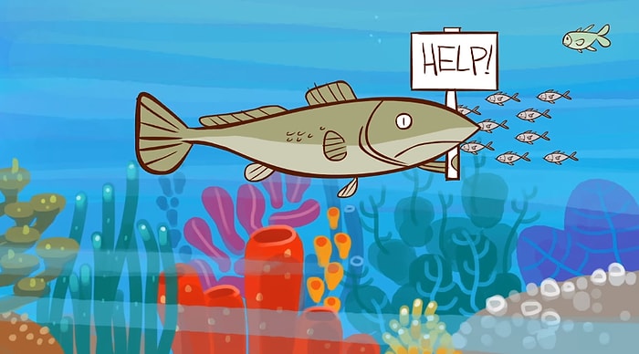 Denizlerimizdeki Balıklar Tükenebilir mi?