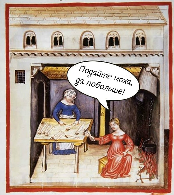 9. Некоторые женщины даже использовали мох в качестве гигиенической прокладки