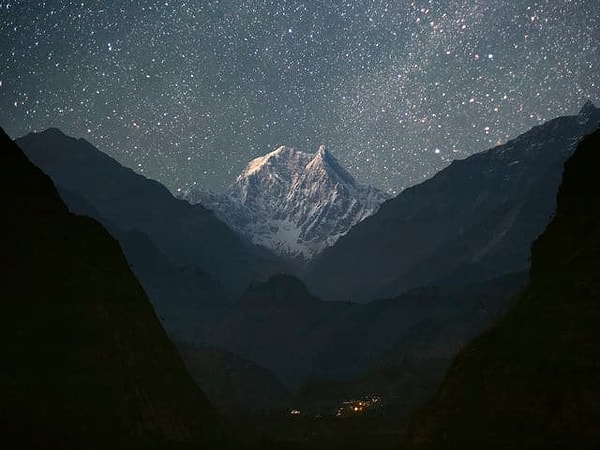 1. Какой цвет доминирует на этом фото?