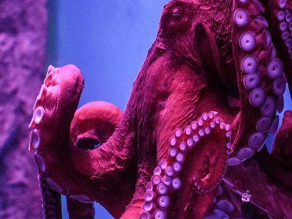 2. А на этом?