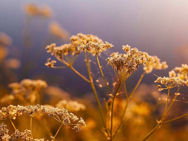 4. Какой цвет притягивает ваш взгляд здесь?