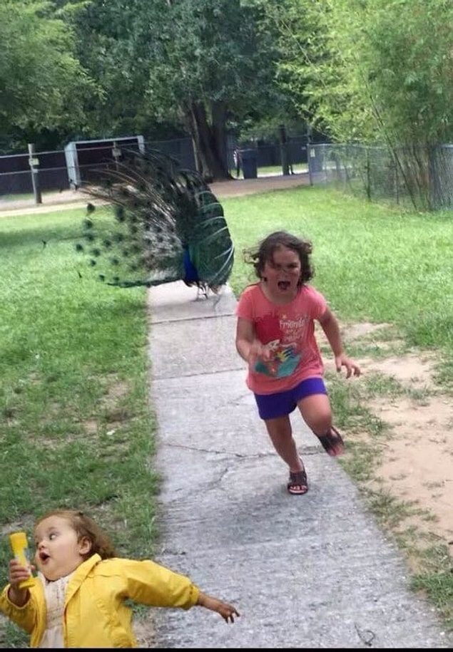 3.