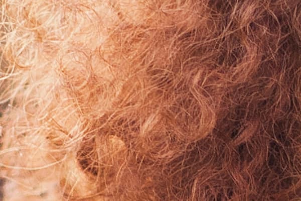 3. А эти кудряшки?