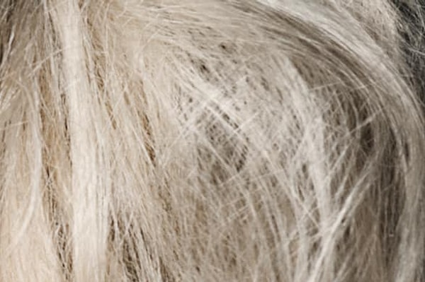 5. Приглядитесь внимательно. Кто тут?