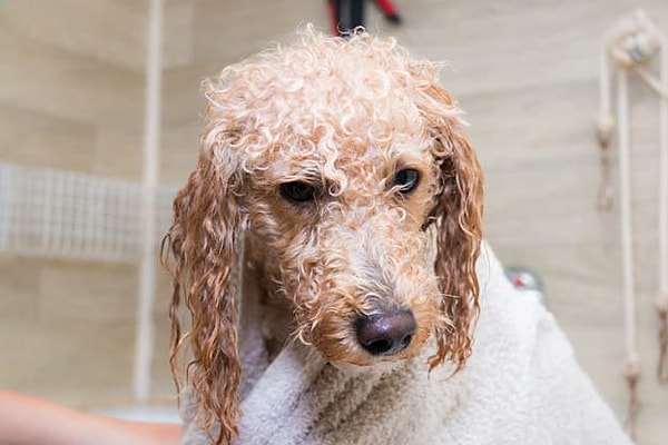 Посмотреть правильный ответ: