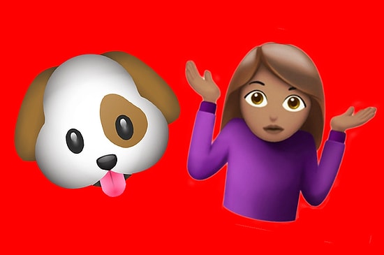 Собака или человек: узнаете ли вы, кому принадлежат эти пряди волос?