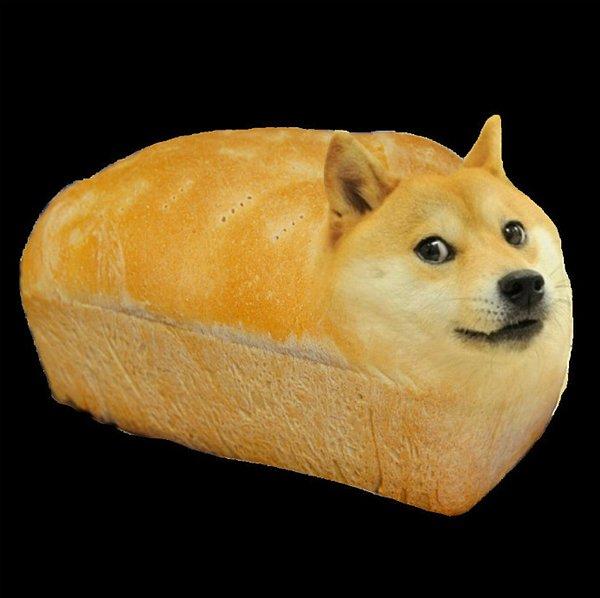 23. Köpek cinsleri (dog breeds) yazacağına köpek ekmeği (dog bread) yazmış, sonuçtan herkes memnun.