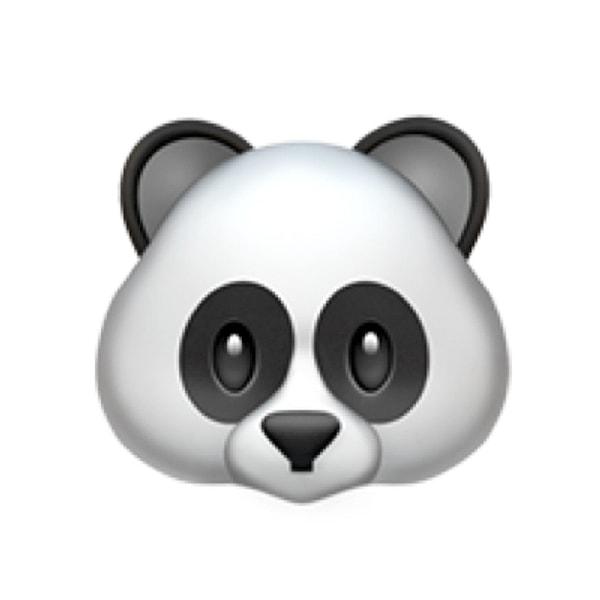 Şirin bir pandasın! 🐼