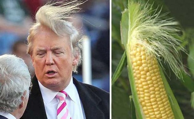 13. Trump vs Mısır