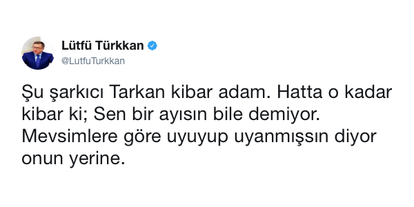 Muzik Tercihlerine Gore Hangi Tarkan Albumu Oldugunu Soyluyoruz
