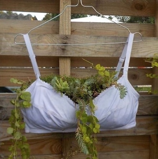 1. "Ой, у вас тут из бюстгальтера что-то растет!"