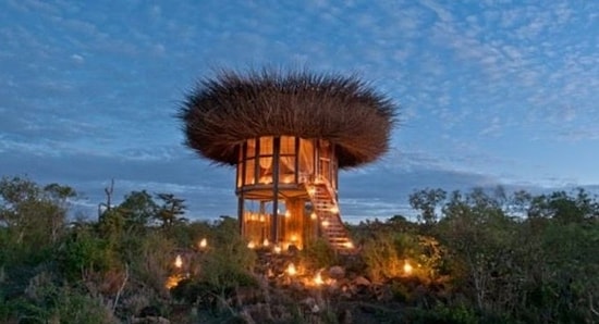 А не хотите ли переночевать в пятизвездочном гнезде? В Кении открылся необычный отель