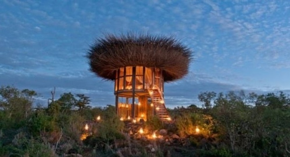 А не хотите ли переночевать в пятизвездочном гнезде? В Кении открылся необычный отель