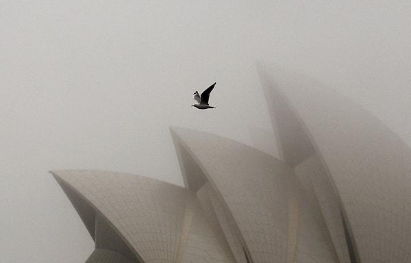 29. Avustralya mimarisinin en güzel örneklerinden biri olan Sidney Opera Evi...