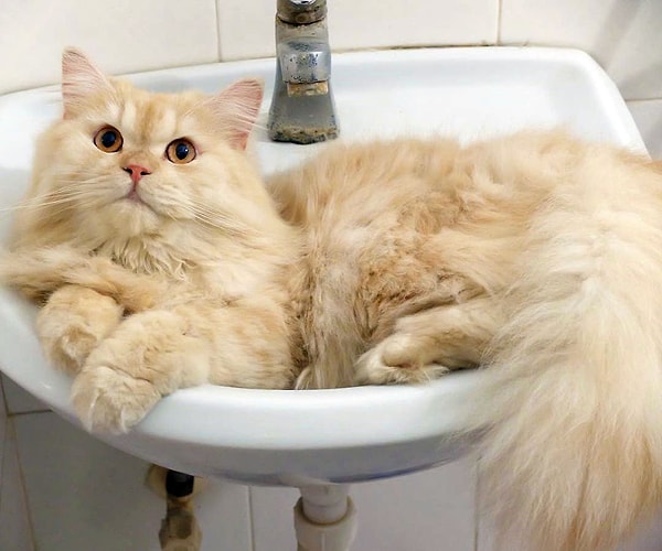 10. "Ну когда уже вы будете меня мыть, сколько можно ждать?"