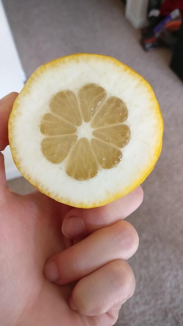 Limonun kabuğu yok, kabuğun limonu var!