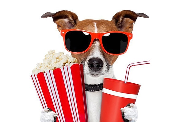 5. Выберите киношку, которую вы бы не отказались посмотреть: