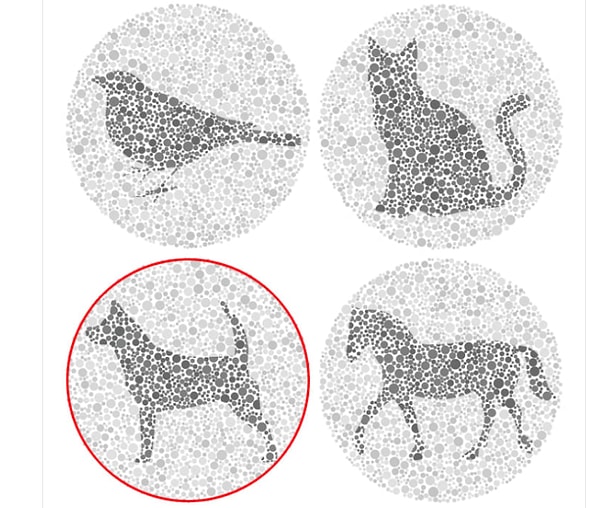 Показать правильный ответ