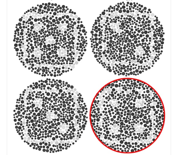 Показать правильный ответ