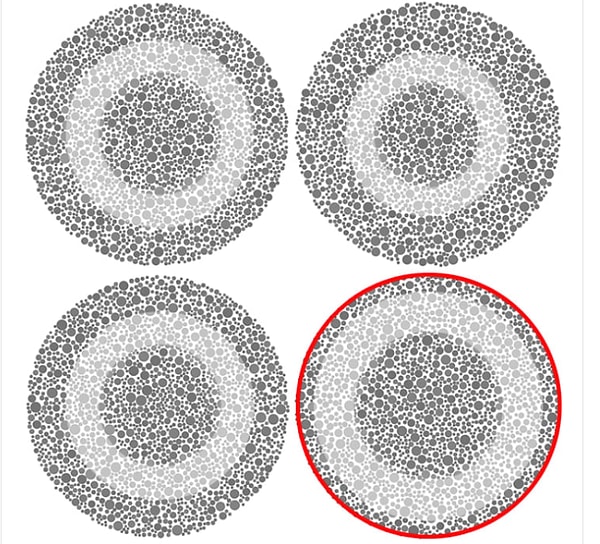 Показать правильный ответ