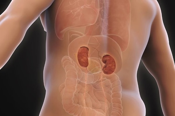 3. Цена на жизнь